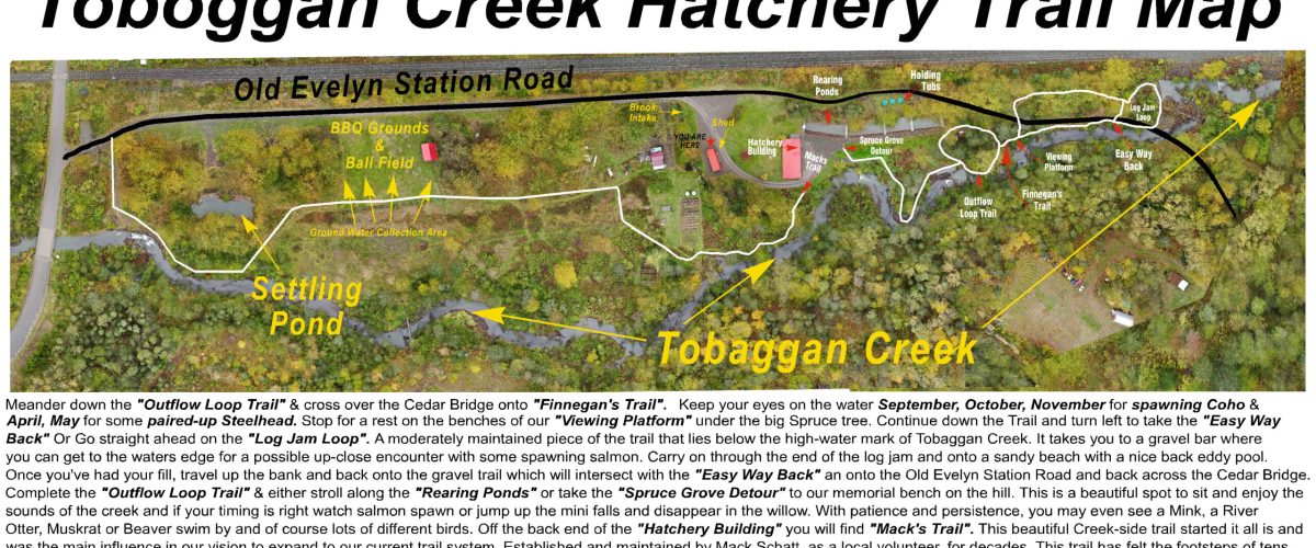 Tobaggan Creek trail map revised 2 Tobaggan Creek trail map revised 2